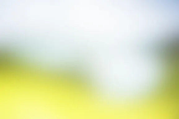 엠아이엔티 카지노 지원